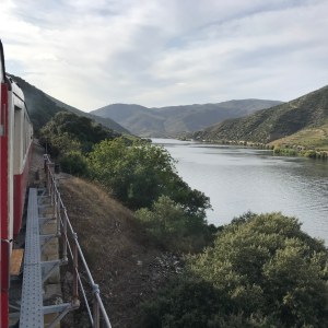 Panoramic view from inside the Douro Valley train showing terraced vineyards and the Douro River