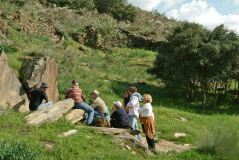 Group of people sitting on rocks in a grassy area near trees and a stone wall.