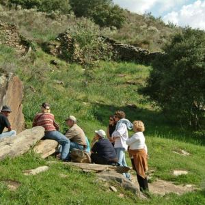 Group of people sitting on rocks in a grassy area near trees and a stone wall.