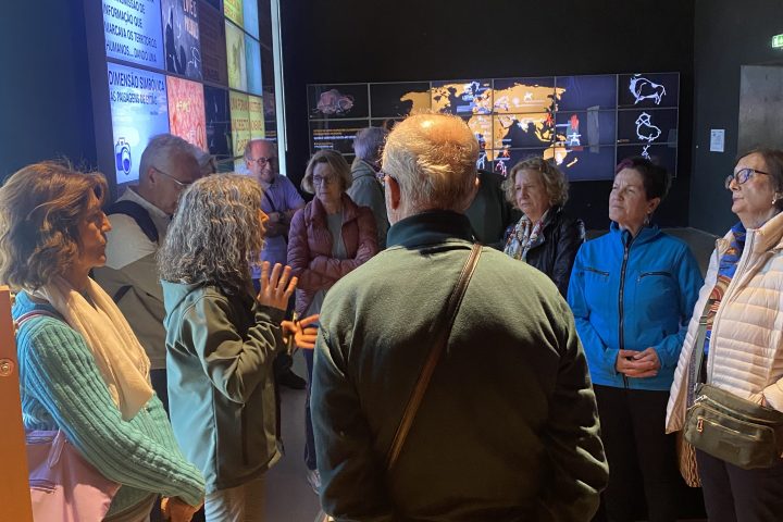 People gathered indoors, viewing multimedia displays on the wall.