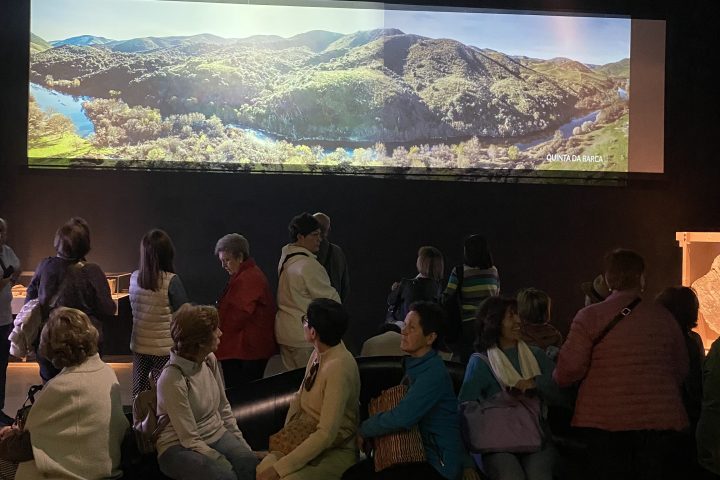 Côa Museum building set into the hillside above the Côa River valley in Vila Nova de Foz Côa
