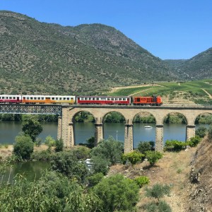 Douro Valley train travelling along the river through terraced vineyards between Pinhão and Pocinho
