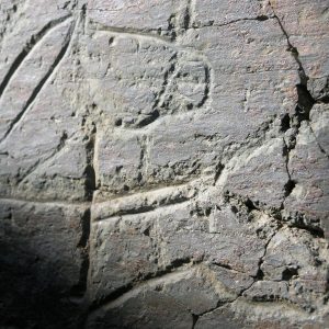 Prehistoric rock art engraving of a horse on schist stone in the Côa Valley, Portugal