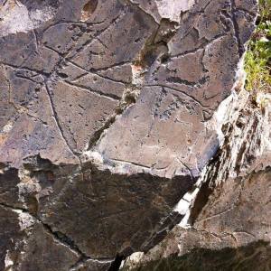 Prehistoric rock art engraving of a horse on schist stone in the Côa Valley, Portugal