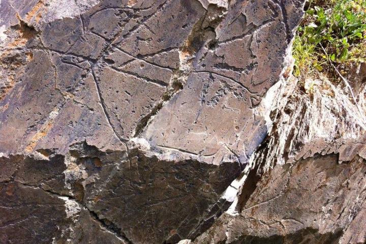 Prehistoric rock art engraving of a horse on schist stone in the Côa Valley, Portugal