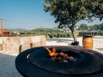 Premium wine and gastronomy experience Douro