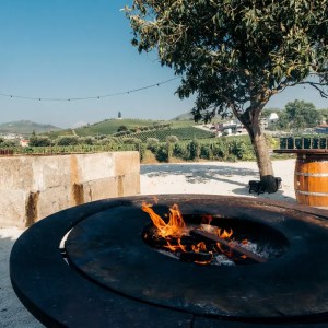 Premium wine and gastronomy experience Douro