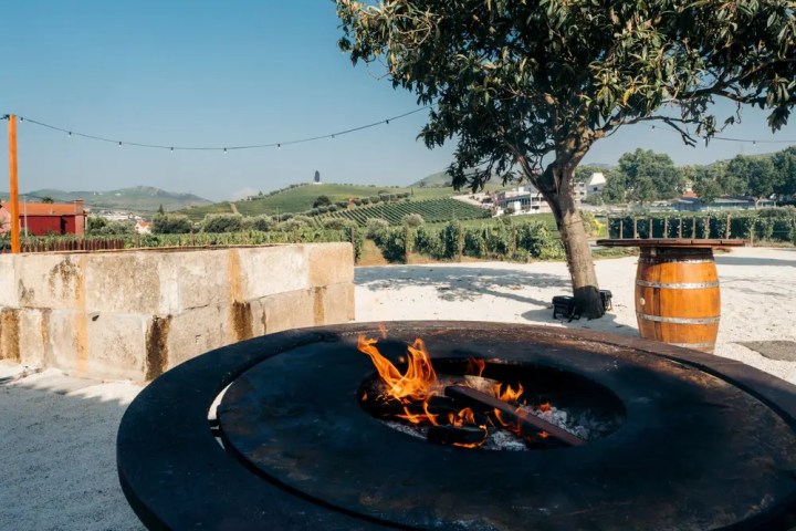 Premium wine and gastronomy experience Douro