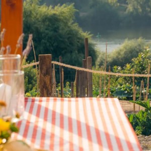Douro sunset vineyard dinner experience