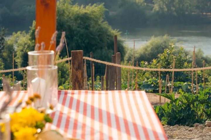 Douro sunset vineyard dinner experience