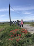 Private tour guide with a small group at a wine estate in the Douro Valley, Portugal