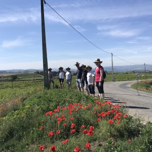 Private tour guide with a small group at a wine estate in the Douro Valley, Portugal