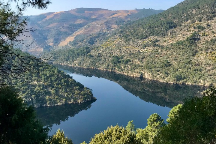 Tua River winding through a forested gorge in the Tua Valley natural park, Northern Portugal