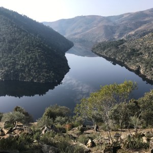 Village of Favaios with traditional stone houses and vineyards in the Douro Valley, Portugal