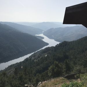 Tua River winding through a forested gorge in the Tua Valley natural park, Northern Portugal