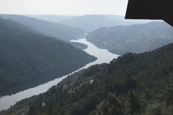 Tua River winding through a forested gorge in the Tua Valley natural park, Northern Portugal