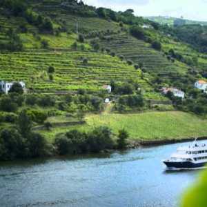 Douro River at golden hour with terraced vineyards and a quinta reflected in the water