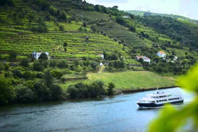 Douro River at golden hour with terraced vineyards and a quinta reflected in the water
