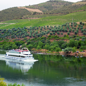 Cruise ship sailing upstream on the Douro River through terraced vineyard valleys in Portugal