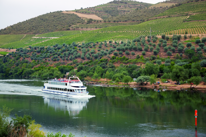 Cruise ship sailing upstream on the Douro River through terraced vineyard valleys in Portugal