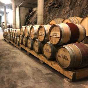 Wine barrels inside a historic Douro Valley wine estate cellar