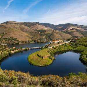 Douro Valley vineyard terraces at sunrise with the Douro River winding below