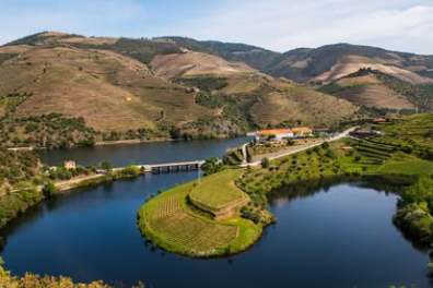 Douro Valley vineyard terraces at sunrise with the Douro River winding below