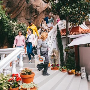 People walking down outdoor stairs near a building with plants in pots.