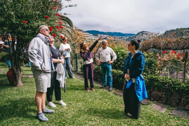 Madeira dinner with locals home experience