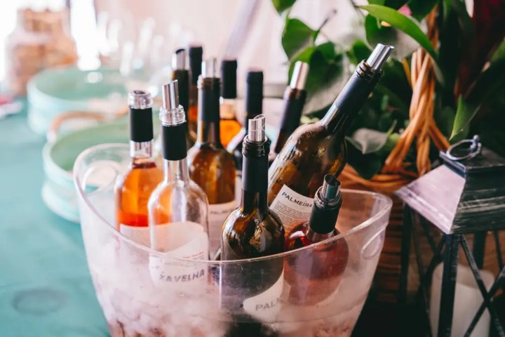 Wine bottles in an ice bucket with green plates in the background.