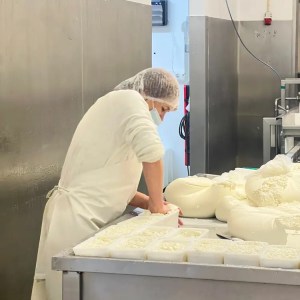 Traditional cheese making process Madeira dairy