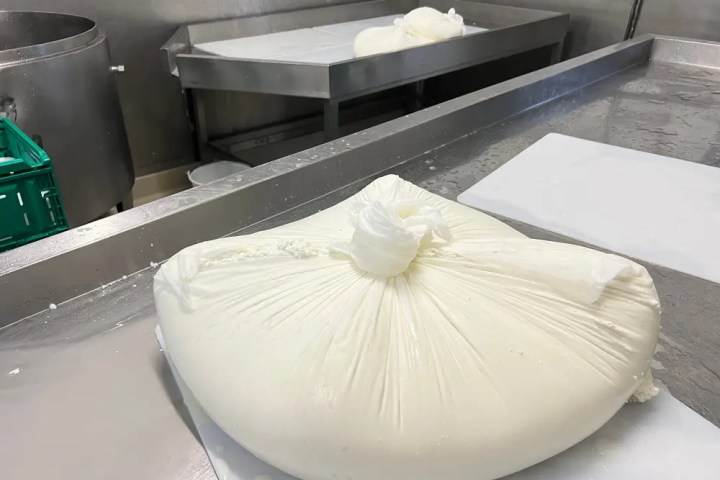 Traditional cheese making process Madeira dairy