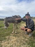 Person kneeling beside a donkey on a grassy field under a cloudy sky.