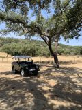 Off-road vehicle under trees with shadows on a sunny day.