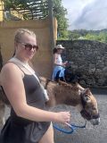 Person leading a small donkey on a sunny day, with another person in the background.