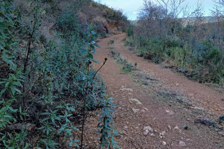 Dirt path through a hilly landscape with sparse vegetation and a blue sky.