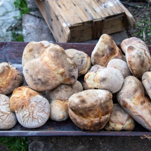 Shaping bread dough by hand before baking in a wood-fired oven