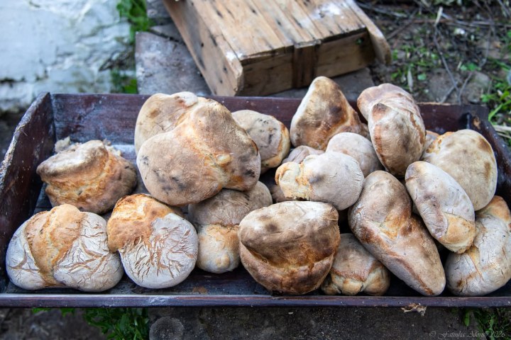 Shaping bread dough by hand before baking in a wood-fired oven
