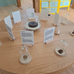 Three glasses of sweet Madeira wine paired with honey cake tasting