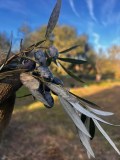 Close-up of olives on a branch with blurred trees and sky in the background.