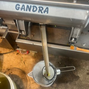 On-site olive mill pressing fresh organic olive oil at an Alentejo farm