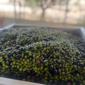 Pile of green and black olives in a metal container.