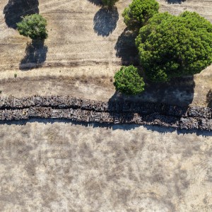 Aerial view of stacked logs and scattered trees on dry, brown terrain.