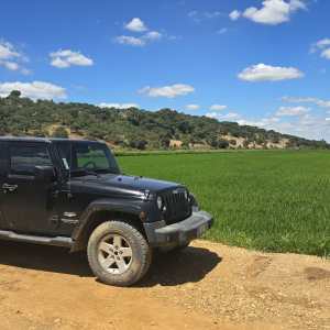Black SUV parked on dirt road beside a green field under a blue sky.