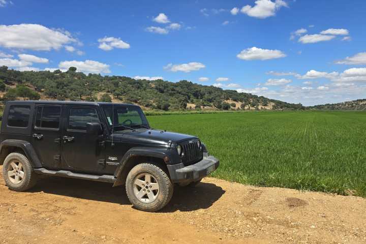 Black SUV parked on dirt road beside a green field under a blue sky.