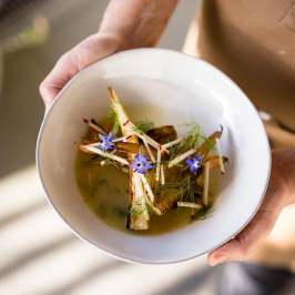 Person holding a plate with a vegetable dish garnished with edible flowers.