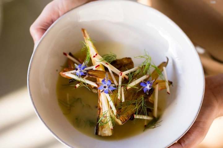 Person holding a plate with a vegetable dish garnished with edible flowers.