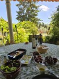 Outdoor table with wine, bread, olives, and trees in the background on a sunny day.
