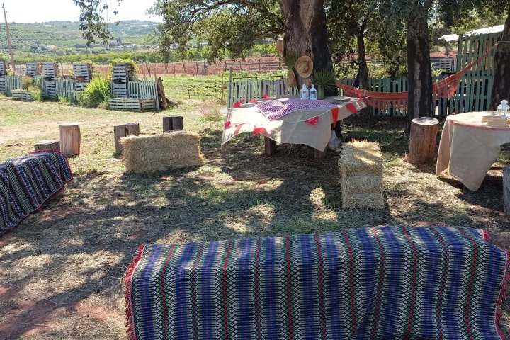 Outdoor setting with covered benches, hay bales, tables, and trees.