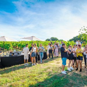 Group of people mingling outdoors near a refreshment table in a vineyard.